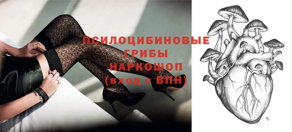 эйфоретик Гусиноозёрск