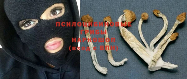 ECSTASY Гусев