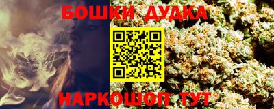 шишки Изобильный