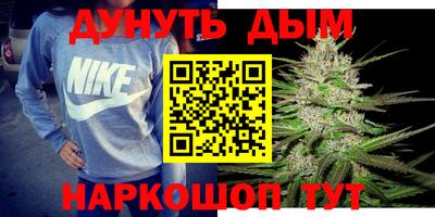 шишки Изобильный