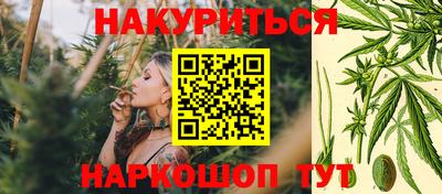 шишки Изобильный