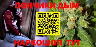 шишки Изобильный