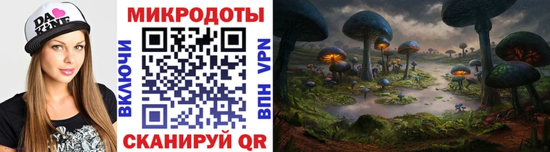 KRAKEN рабочий сайт  Нерюнгри  Галлюциногенные грибы прущие грибы 