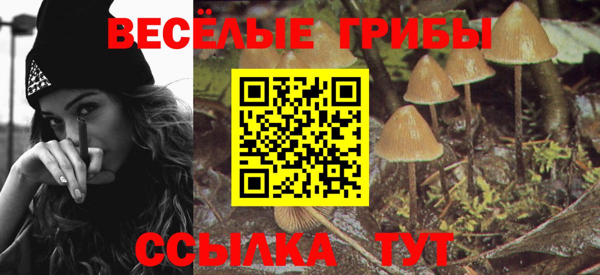 Галлюциногенные грибы GOLDEN TEACHER  Псилоцибиновые грибы MAGIC MUSHROOMS  Нерюнгри  Вход с VPN 